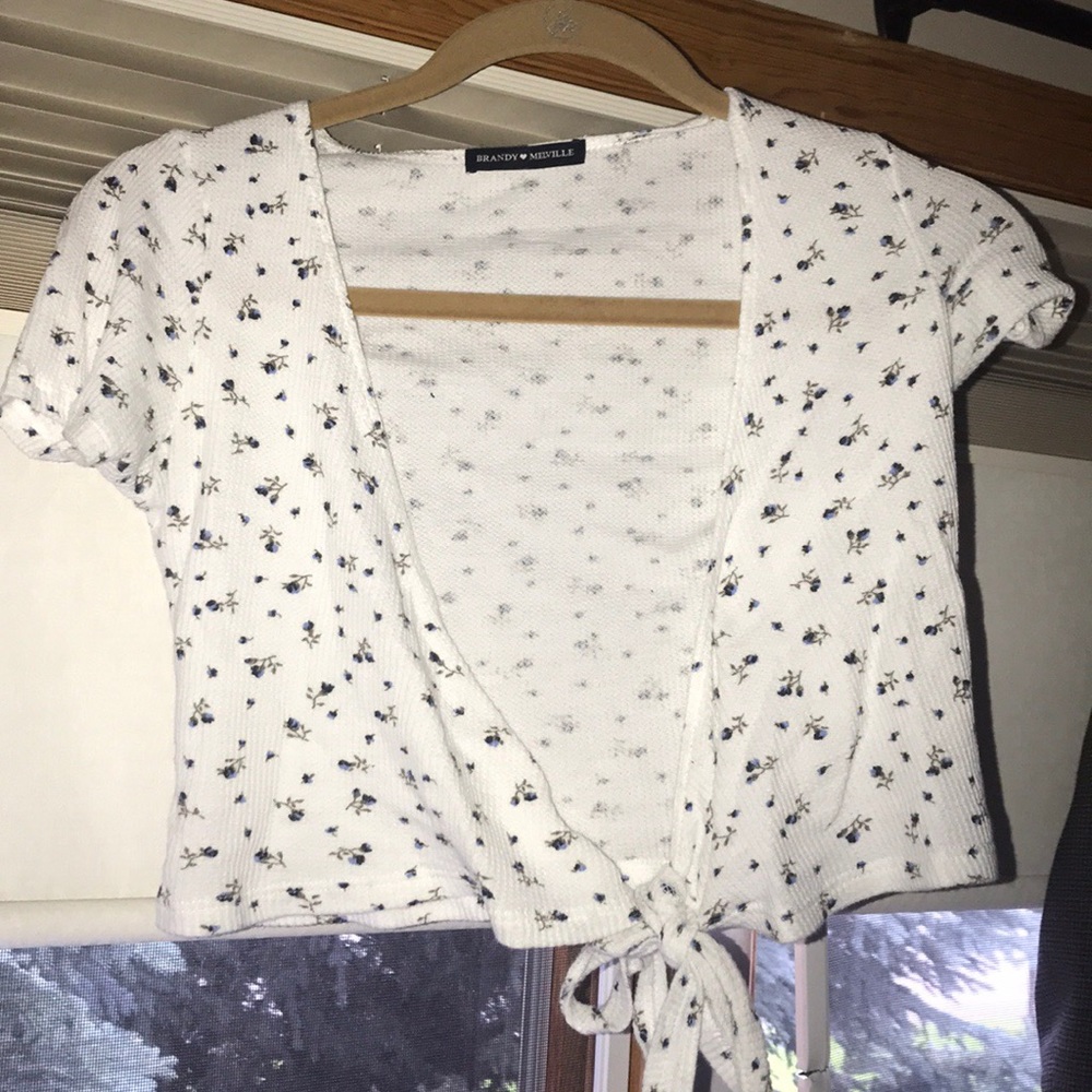 Brandy Melville Front Tie Crop Top